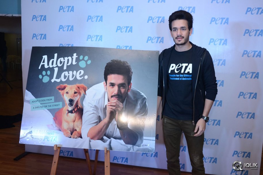 Akhil-Akkineni-at-Peta-Event